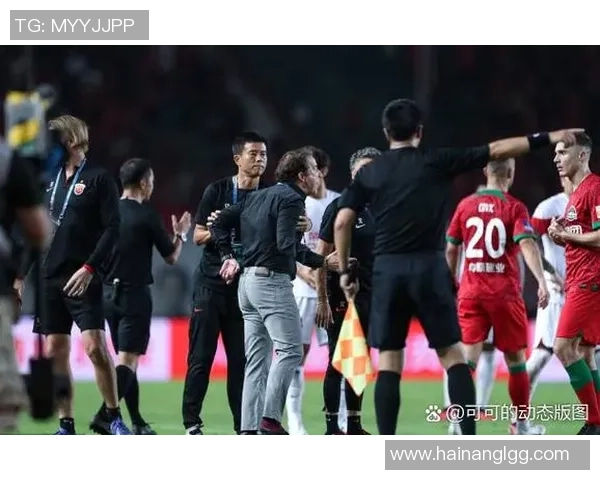 从低谷到巅峰上海篮球队的奋斗与荣耀之路