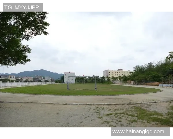 小牛足球培训助力青少年成长打造足球梦想的摇篮与未来之路