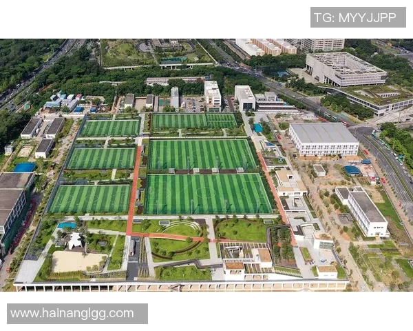 水上足球展板：探索水上运动的新潮流与激情体验