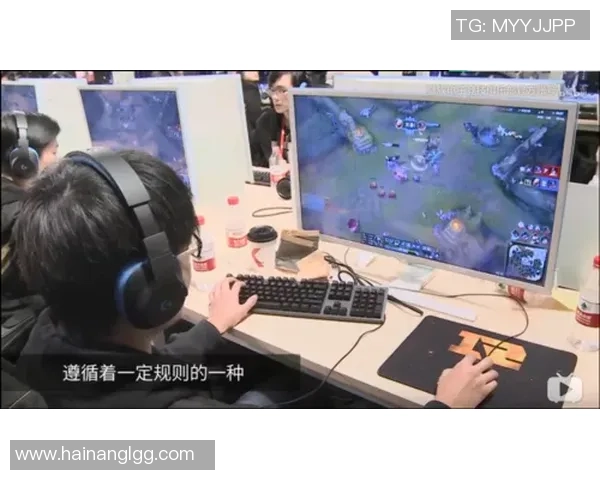 英雄联盟热点分析：深入解读LNG战队的战术转换与未来发展